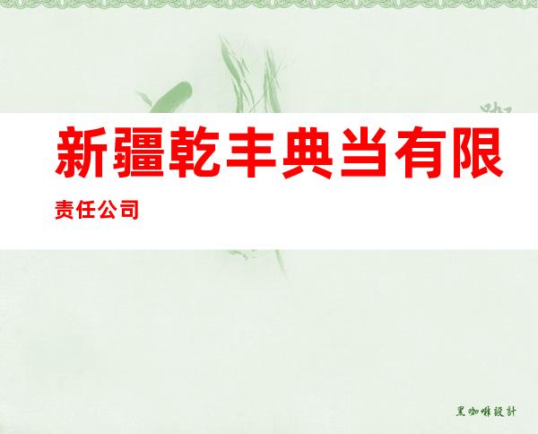 新疆乾丰典当有限责任公司